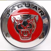 Jaguar Floating Center Cap Silver & Chrome FCC075 59mm